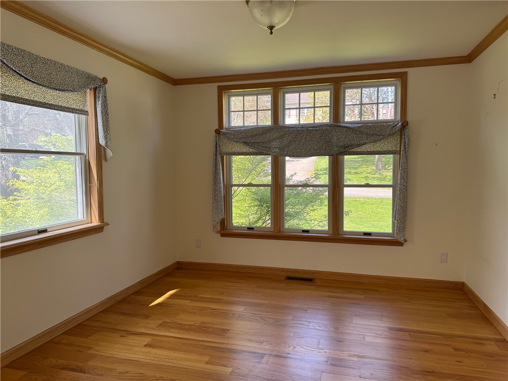 21 High Street, Alfred, New York image 19