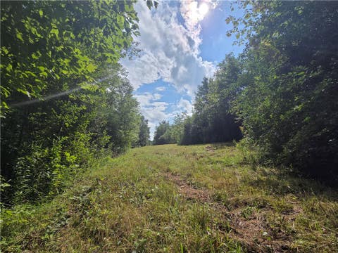 Photo for Bunnell Road