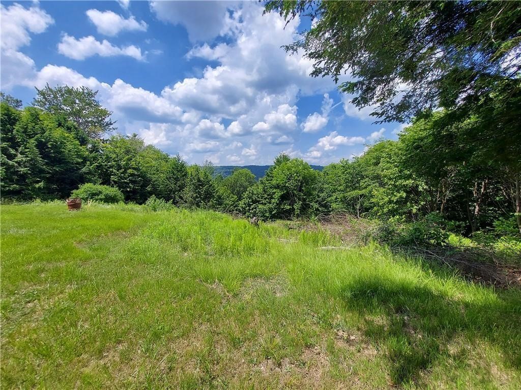 East Brook Lane, Hancock, New York image 11