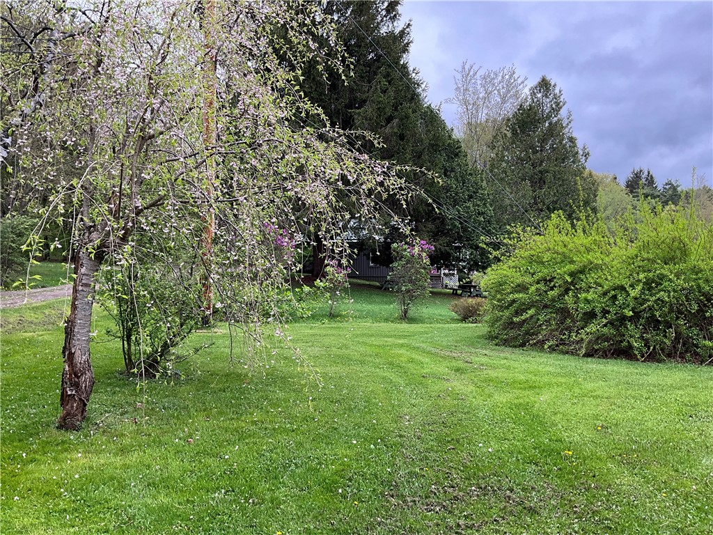 70 E Masonville Pond Road, Masonville, New York image 7