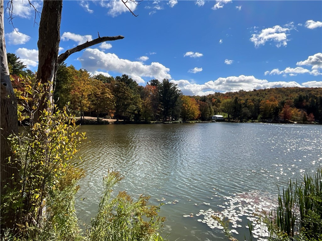 70 E Masonville Pond Road, Masonville, New York image 36