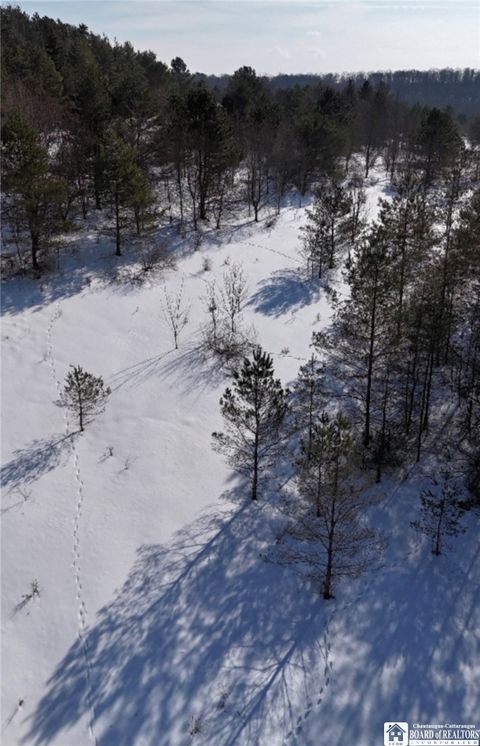 Reynolds Road Franklinville NY 14737