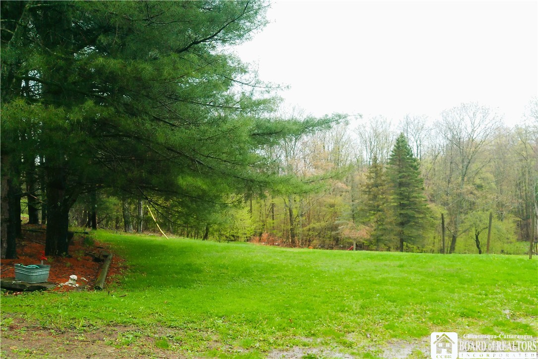 864 106 Road, Alma, New York image 3