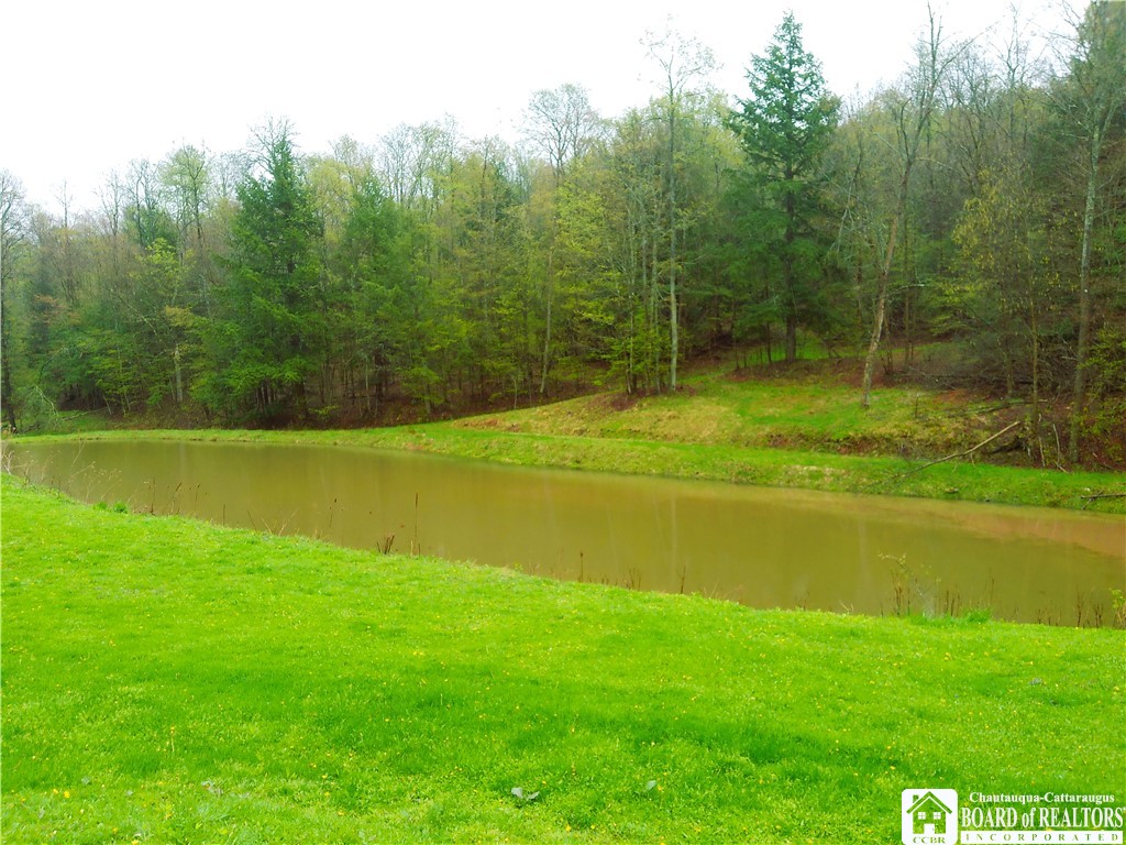 864 106 Road, Alma, New York image 8