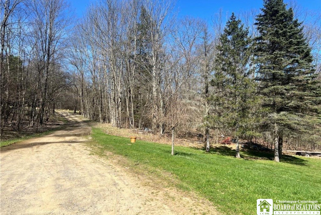 864 106 Road, Alma, New York image 2