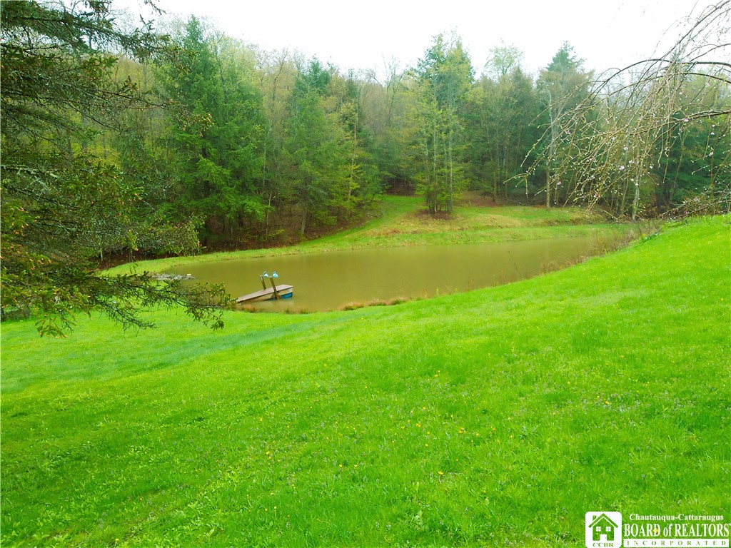 864 106 Road, Alma, New York image 5
