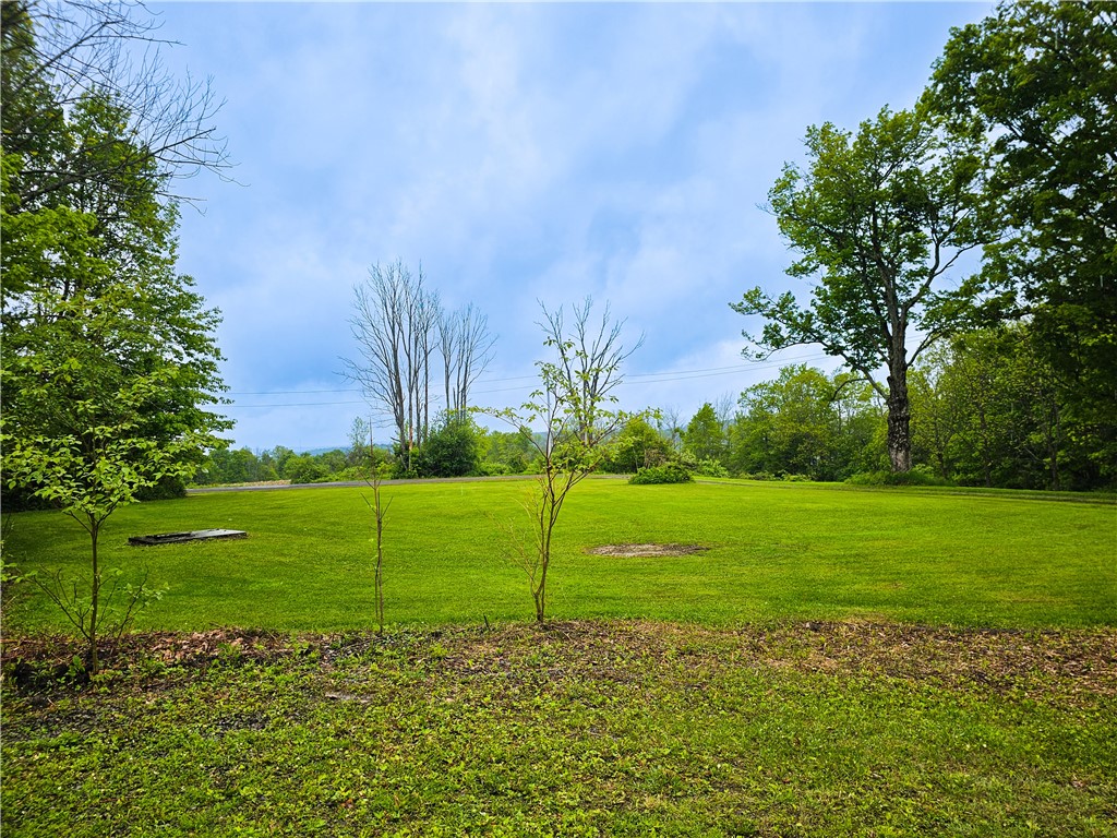 230 Perry Road, Richford, New York image 34