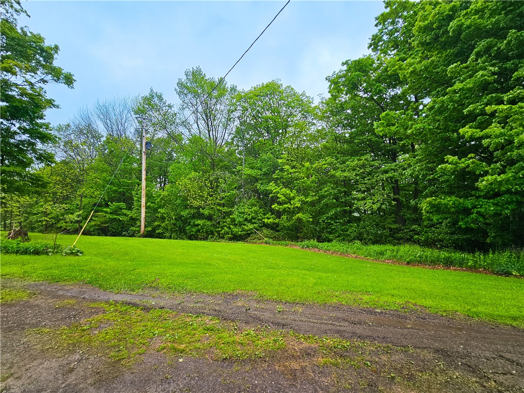 230 Perry Road, Richford, New York image 47