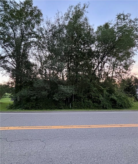 Vacant Land For Sale - County Route 121<br/> Wayland, NY 14826