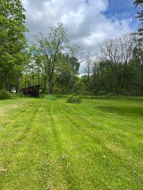 5173 State Route 227, Hector, New York image 8