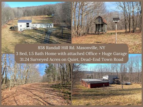 Homes For Sale - 858 Randall Hill Road<br/> Delaware County, Masonville, NY 13839