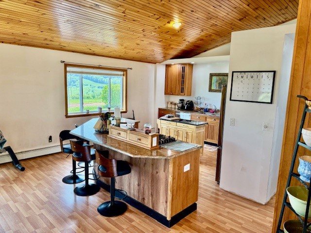 251 Pearsall Road, Westford, New York image 8