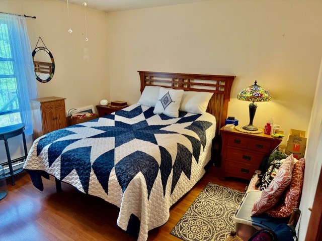 251 Pearsall Road, Westford, New York image 21