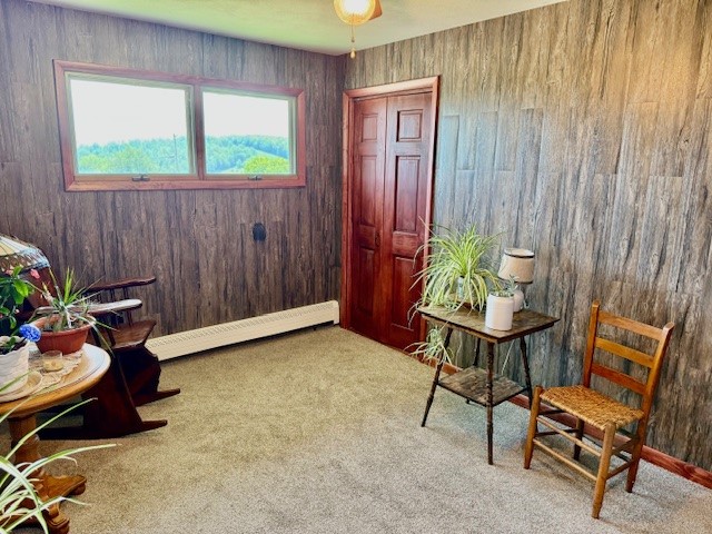 251 Pearsall Road, Westford, New York image 29