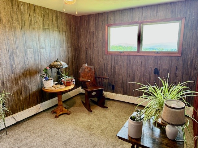 251 Pearsall Road, Westford, New York image 28