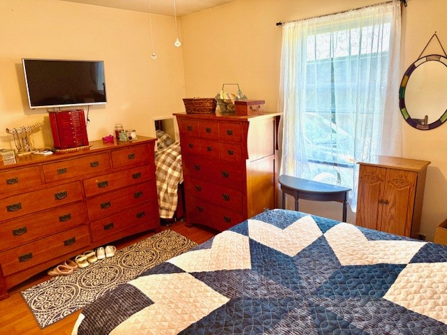 251 Pearsall Road, Westford, New York image 22