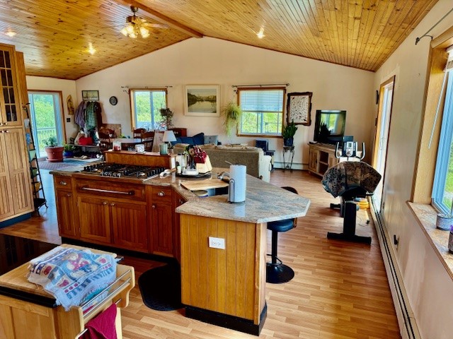 251 Pearsall Road, Westford, New York image 4