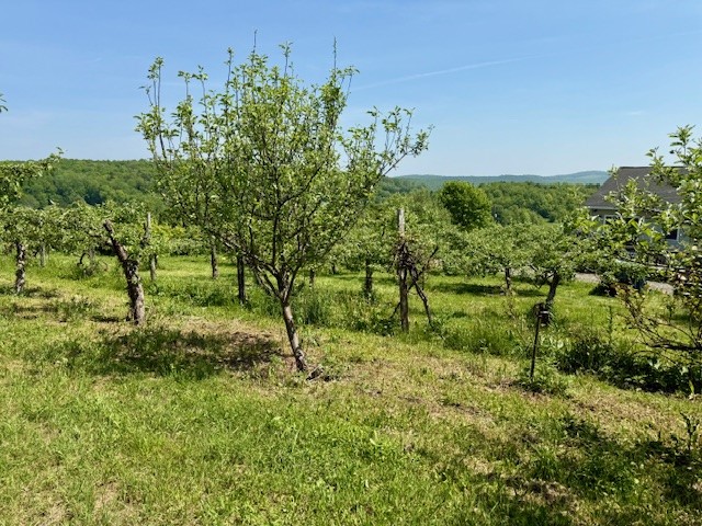 251 Pearsall Road, Westford, New York image 47