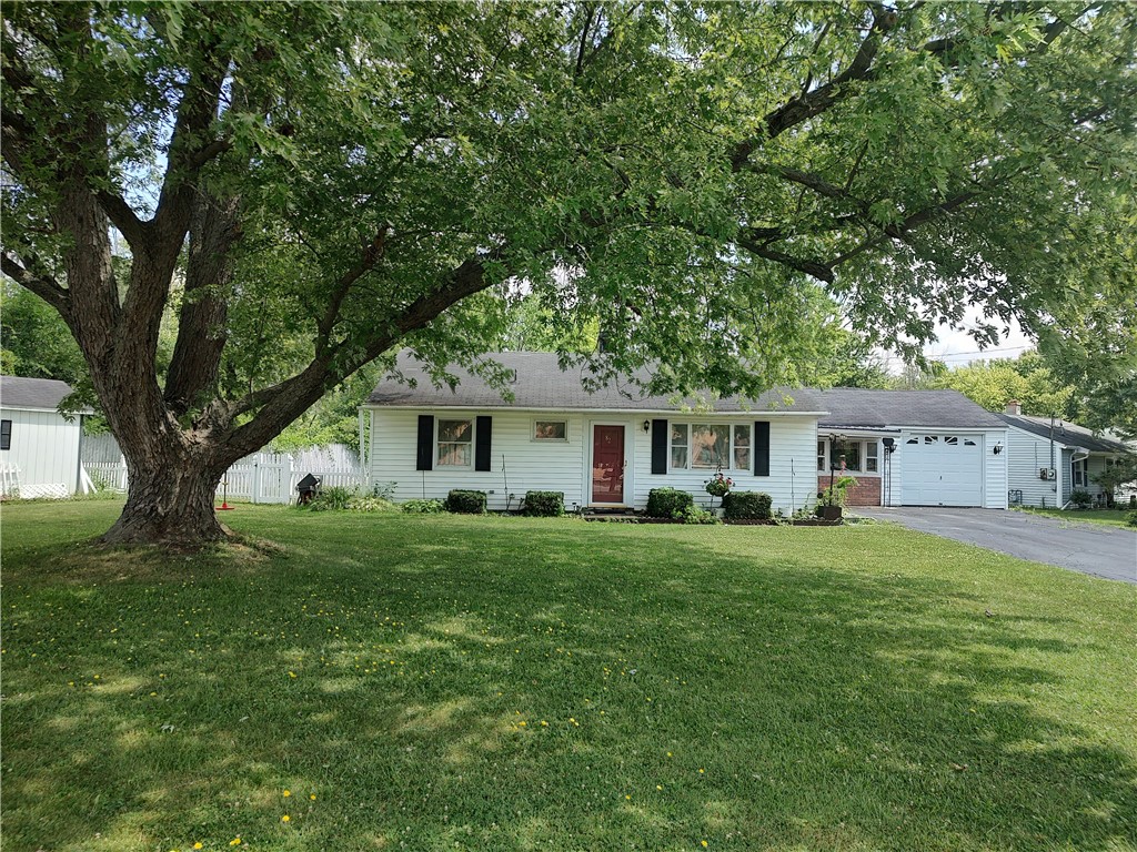 82 Inslee Street