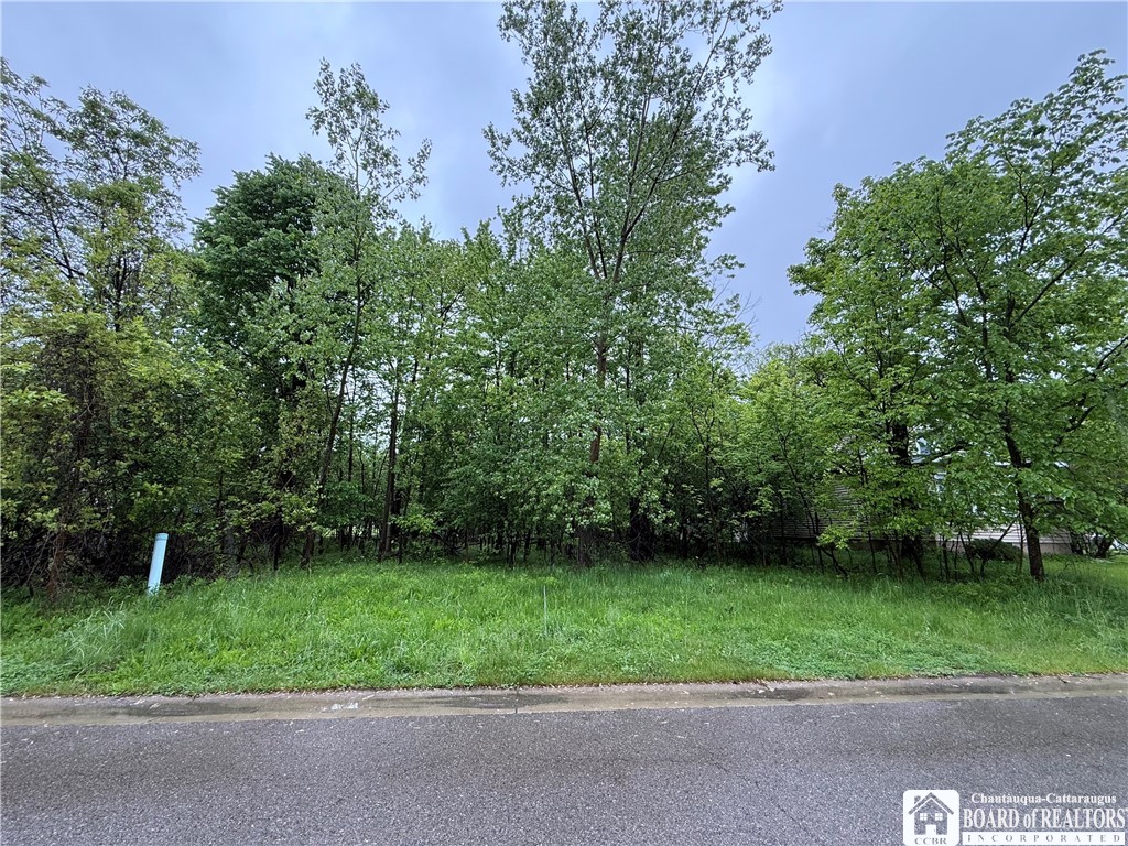 Summit Avenue, Orchard Park, New York image 1