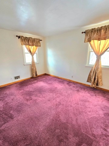 77 Mountbatten Street, Henrietta, New York image 37