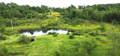 Photo for 0 County Road 35