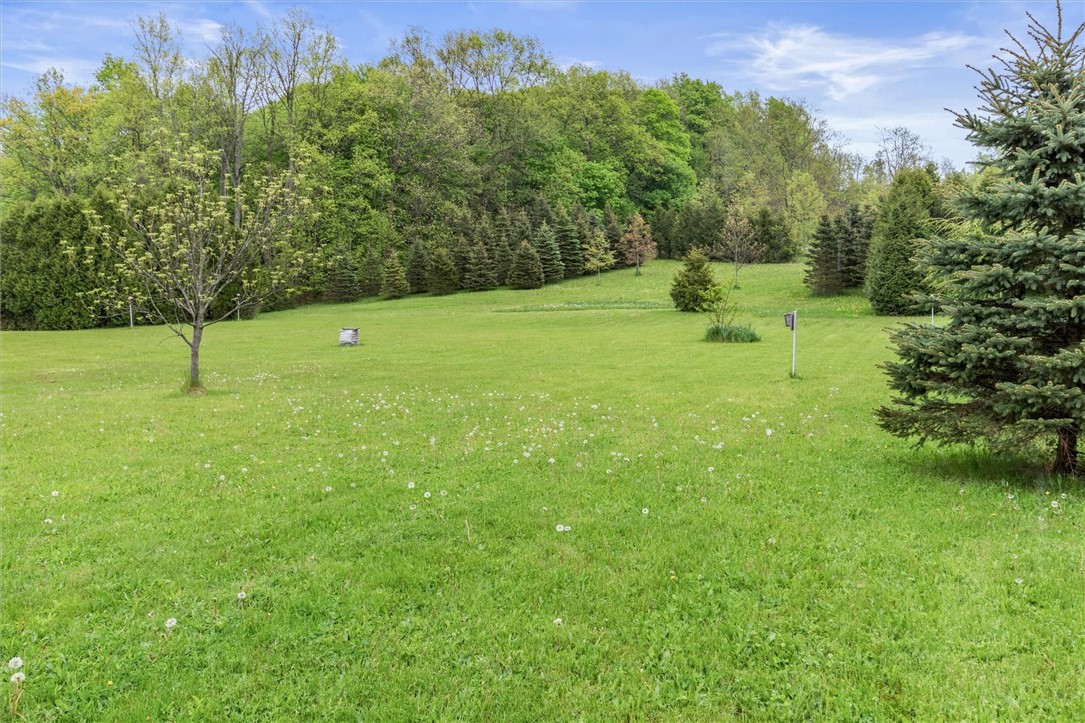 1092 Farmington Road Rd, Macedon, New York image 48