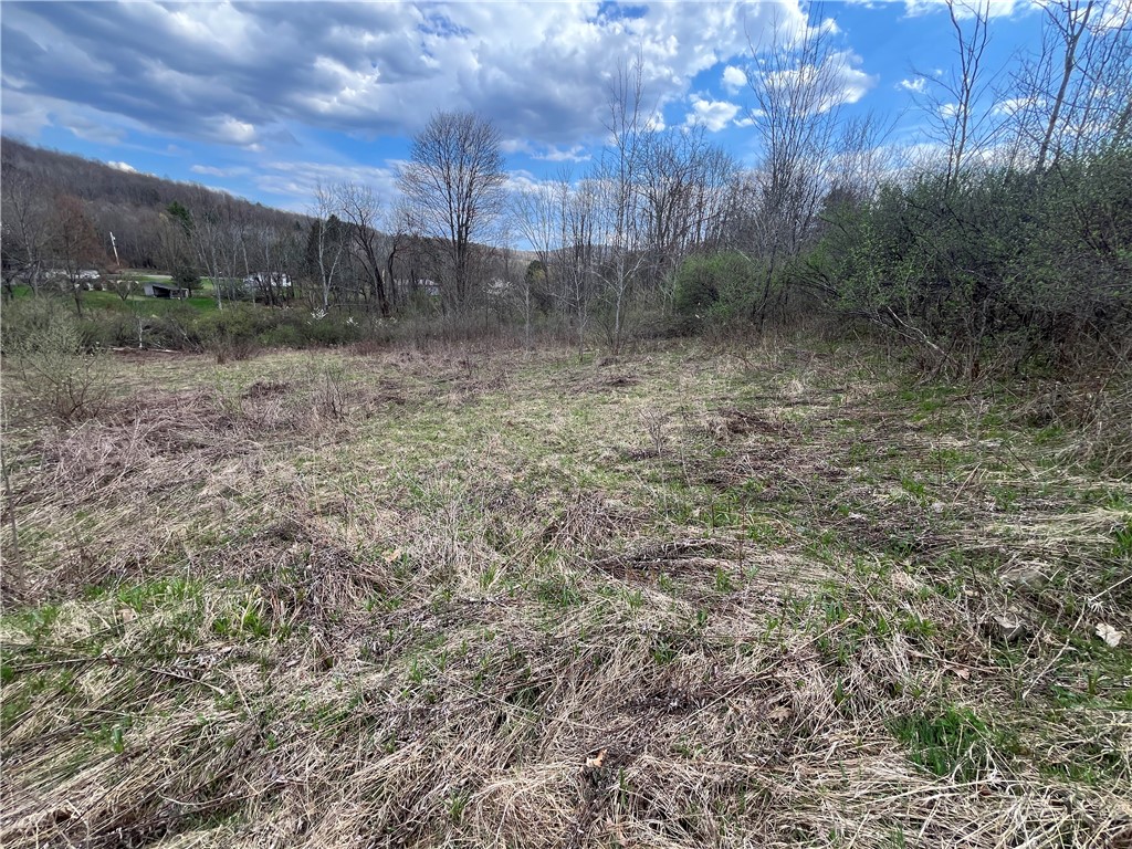 Mallory Road, Chemung, New York image 41
