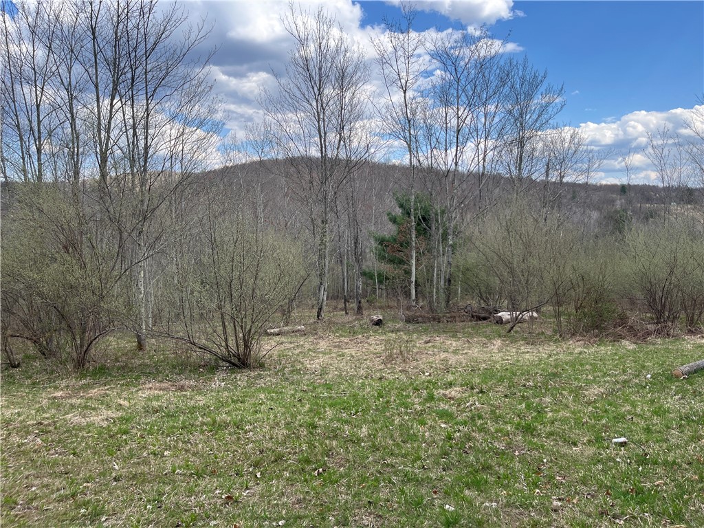 Mallory Road, Chemung, New York image 23