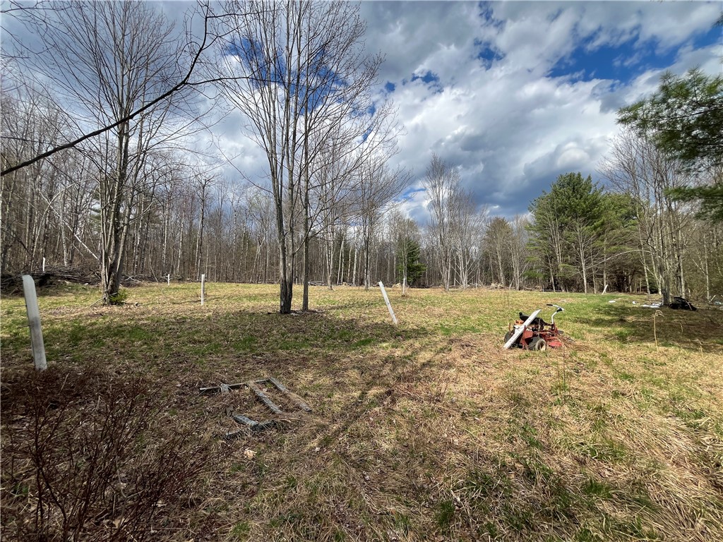 Mallory Road, Chemung, New York image 32