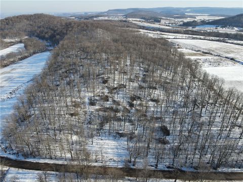 Photo of 0 Hoyer Road, Cherry Valley, NY 13320 (MLS # R1513657) Photo of 0 Hoyer Road, Cherry Valley, NY 13320 (MLS # R1513657)