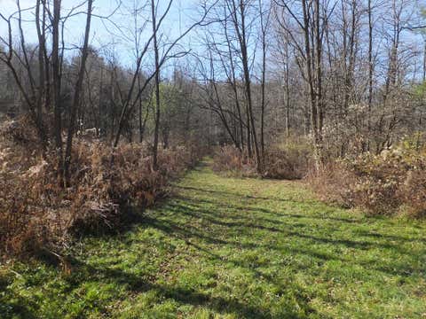 Photo for 1350 COUNTY ROAD 16