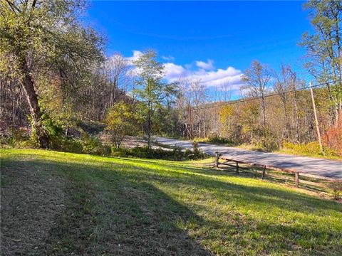 Vacant Land For Sale - 4880 Deusenberry Road<br/> Cohocton, NY 14826