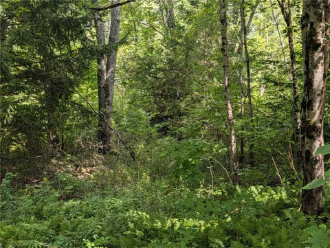Photo of E Afton Road, Afton, NY 13730 (MLS # R1706657)