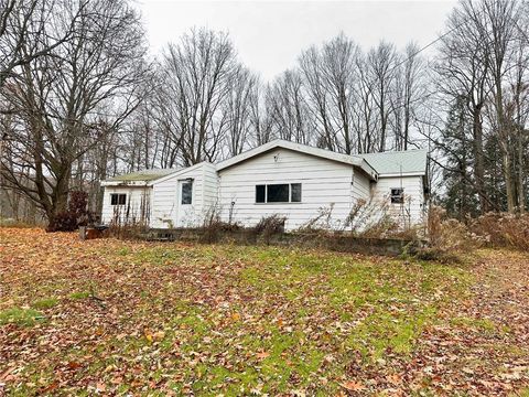 Homes For Sale - 8975 Becker Road<br/> Springwater, NY 14572