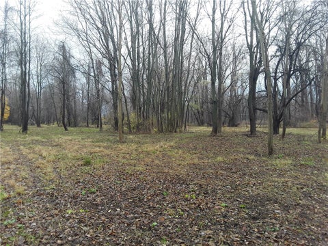 Photo for 6386 Harvest Drive