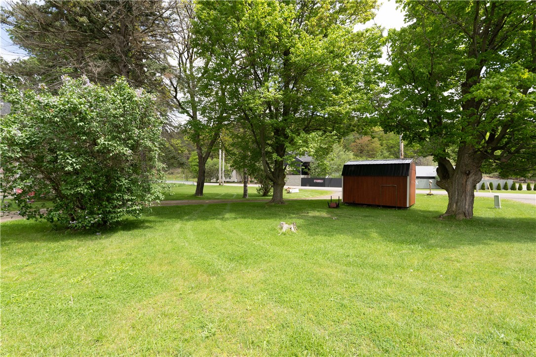 11241 State Route 21, Wayland, New York image 34