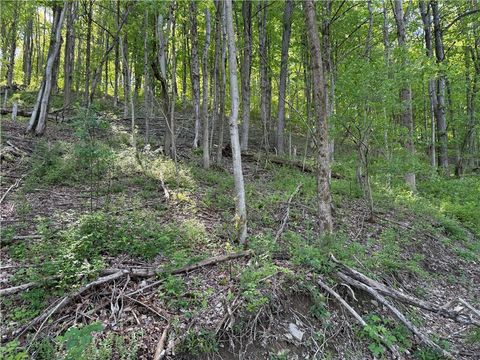 Tiny photo for 8082 Rt-242, Little Valley, NY 14755 (MLS # R1684790)