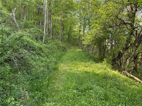 Tiny photo for 8082 Rt-242, Little Valley, NY 14755 (MLS # R1684790)