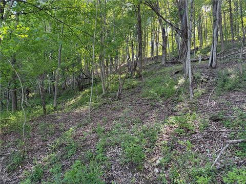 Tiny photo for 8082 Rt-242, Little Valley, NY 14755 (MLS # R1684790)