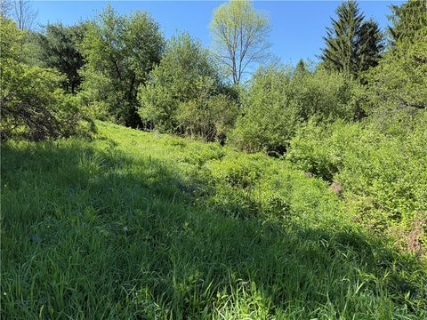 Tiny photo for 8082 Rt-242, Little Valley, NY 14755 (MLS # R1684790)