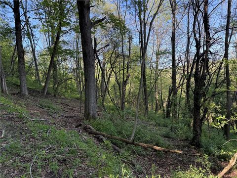 Tiny photo for 8082 Rt-242, Little Valley, NY 14755 (MLS # R1684790)