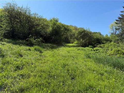 Tiny photo for 8082 Rt-242, Little Valley, NY 14755 (MLS # R1684790)