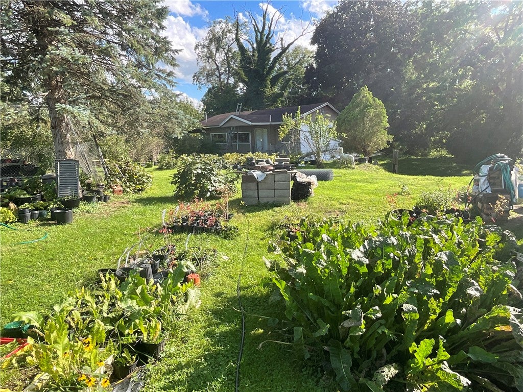 Photo of 76 Jefferson Street, North Dansville, NY 14437 (MLS # R1709939)