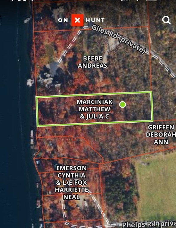 Giles Road, Hector, New York image 4