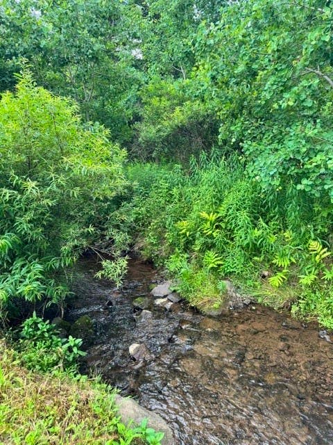 Tiny photo for 2391 Pines Brook Road, Walton, NY 13856 (MLS # R1702843)