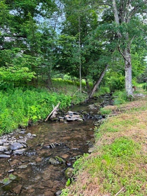 Photo of 2391 Pines Brook Road, Walton, NY 13856 (MLS # R1702843)