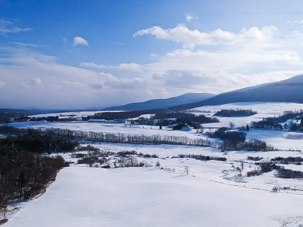 Blackberry Street, Gilboa, New York image 1