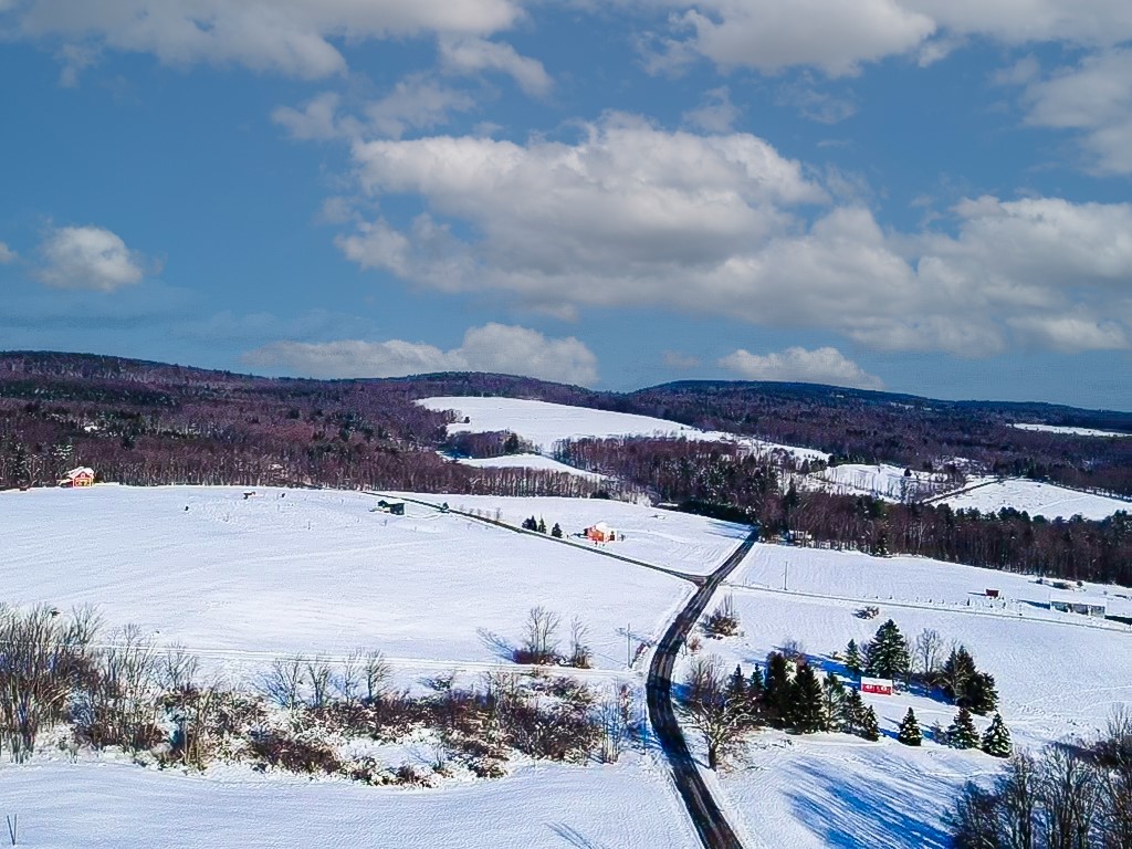 Blackberry Street, Gilboa, New York image 10