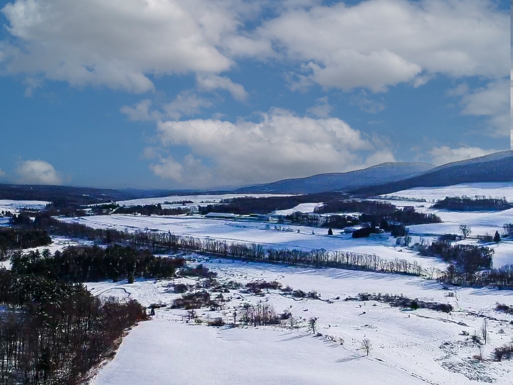 Blackberry Street, Gilboa, New York image 8